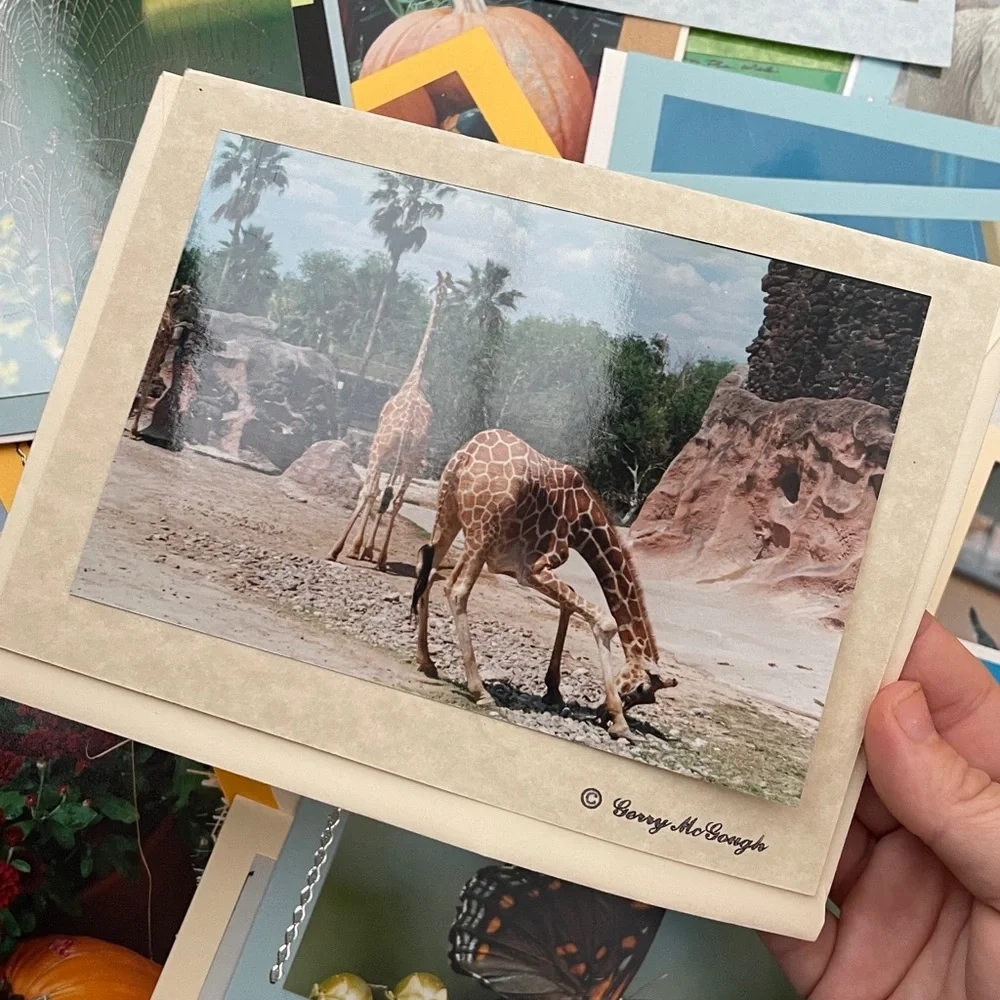 19 Handmade Nature Blank Cards‎